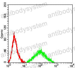 Anti-CD243/ABCB1 Antibody (R3A60)