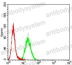Anti-ELANE Antibody (R3A66)