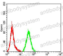 Anti-MMP2 Antibody (R3A70)