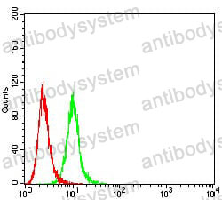 Anti-CD10/MME Antibody (R3A77)