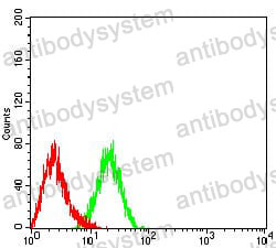 Anti-CD10/MME Antibody (R3A78)