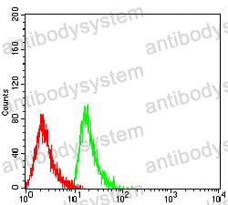 Anti-CD10/MME Antibody (R3A79)