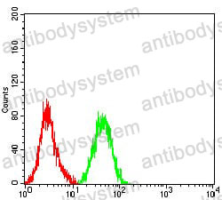 Anti-CD10/MME Antibody (R3A80)