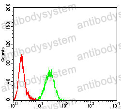 Anti-CD10/MME Antibody (R3A81)