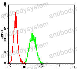 Anti-CD10/MME Antibody (R3A82)
