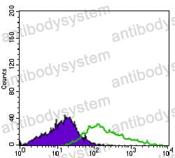Anti-CD41/ITGA2B Antibody (R3A87)