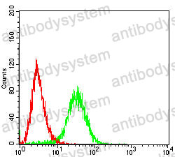 Anti-PDHA1 Antibody (R3A92)