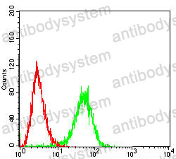 Anti-PDHA1 Antibody (R3A93)