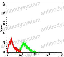 Anti-CD45/PTPRC Antibody (R3B03)