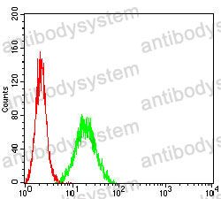Anti-CD45/PTPRC Antibody (R3B04)