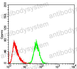 Anti-CD45/PTPRC Antibody (R3B05)