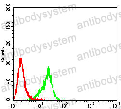 Anti-CD45/PTPRC Antibody (R3B06)