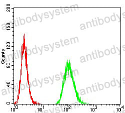 Anti-MET/c-Met/HGFR Antibody (R3B08)