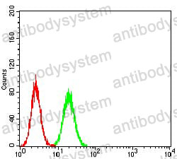 Anti-ANXA5 Antibody (R3B38)
