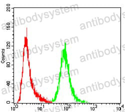 Anti-ANXA5 Antibody (R3B37)