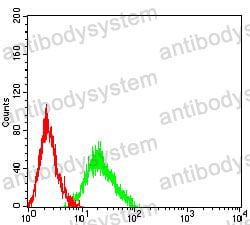 Anti-CHRM5 Antibody (R3B42)