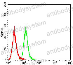 Anti-CD63 Antibody (R3B43)