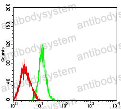 Anti-CD63 Antibody (R3B44)