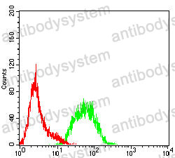 Anti-FGF2/FGFb Antibody (R3B48)
