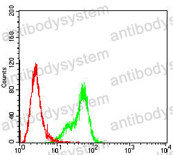 Anti-GSTP1 Antibody (R3B56)