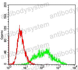 Anti-VIL1 Antibody (R3B58)