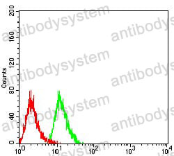 Anti-Gal1/LGALS1 Antibody (R3B59)