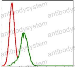 Anti-GSTM1 Antibody (R3B60)