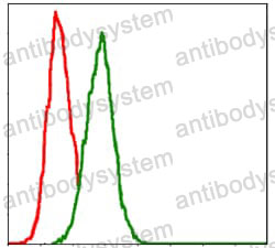 Anti-GSTM1 Antibody (R3B61)