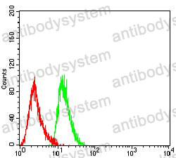 Anti-CD7 Antibody (R3B65)