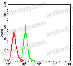 Anti-CD7 Antibody (R3B66)