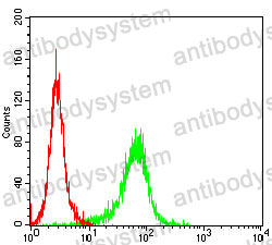 Anti-HMOX1 Antibody (R3B67)