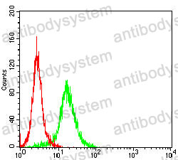 Anti-HMOX1 Antibody (R3B68)