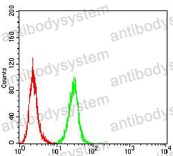Anti-CD140b/PDGFRB Antibody (R3B71)