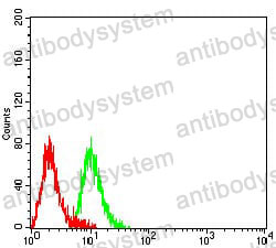 Anti-CD3G Antibody (R3B73)