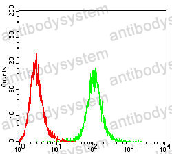 Anti-TACSTD2/TROP2 Antibody (R3B74)
