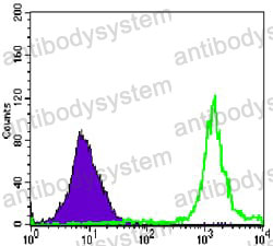 Anti-PARP1 Antibody (R3B76)