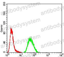 Anti-CSF3/G-CSF Antibody (R3B80)