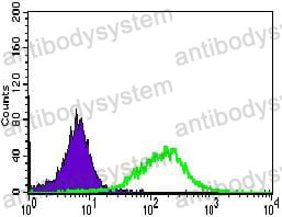 Anti-ALPI Antibody (R3B81)