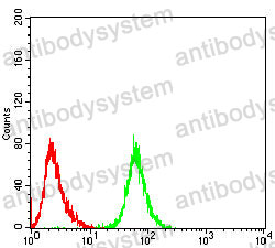 Anti-UCHL1 Antibody (R3B82)