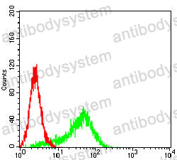 Anti-UCHL1 Antibody (R3B83)