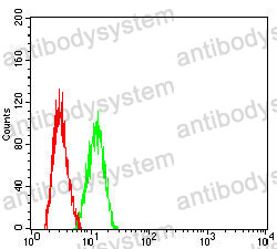 Anti-SAA1 Antibody (R3B94)