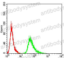 Anti-AMY1A Antibody (R3B99)