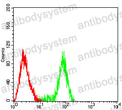 Anti-BCL2 Antibody (R3C08)