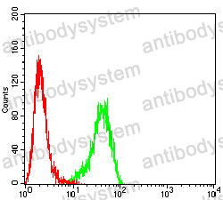 Anti-BCL2 Antibody (R3C09)