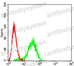 Anti-BCL2 Antibody (R3C10)