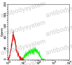 Anti-PTPRF Antibody (R3C16)