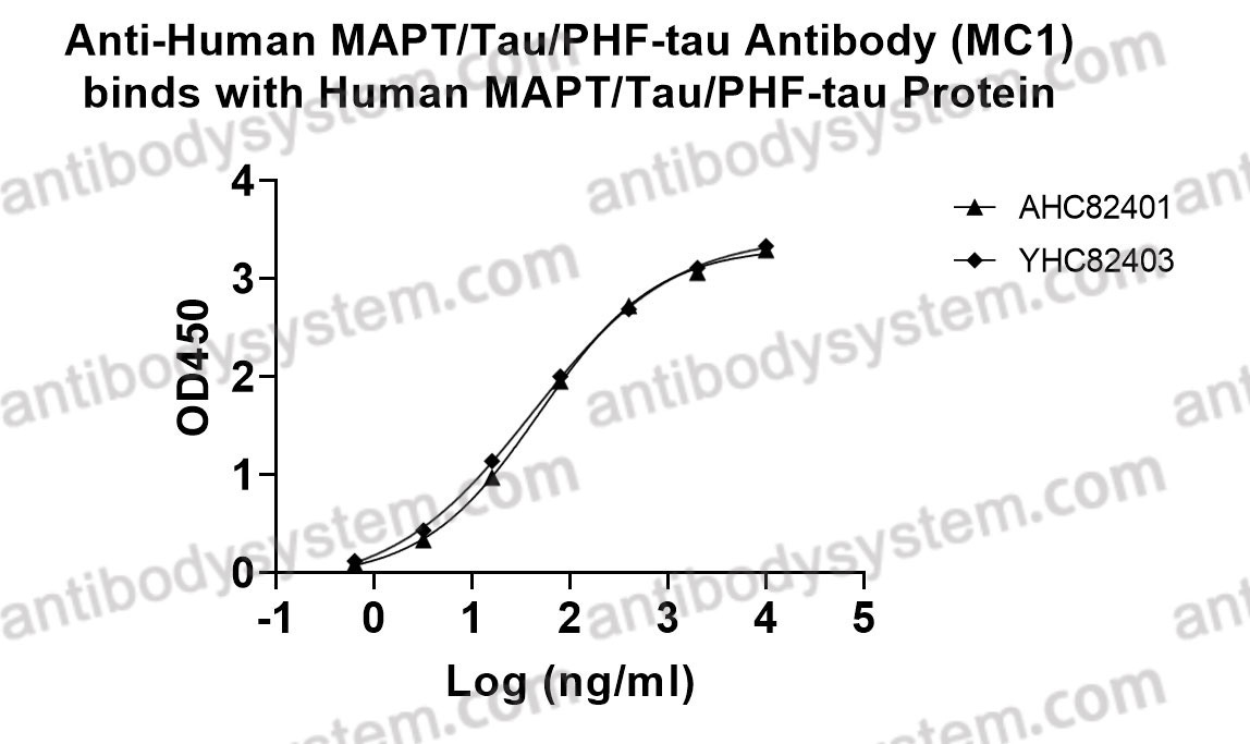 Bioactivity for Anti-Human MAPT/Tau/PHF-tau Antibody (MC1) ?>