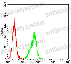 Anti-CHGA Antibody (R3C20)