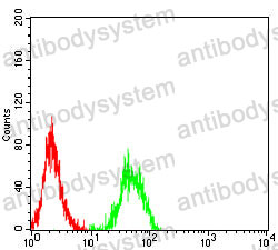 Anti-ALPG Antibody (R3C23)