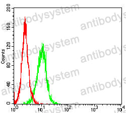 Anti-ALPG Antibody (R3C22)